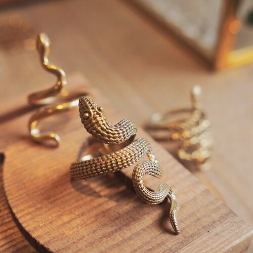 靈蛇 力量蛇戒 | Snake Ring