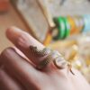 靈蛇 力量蛇戒 | Snake Ring